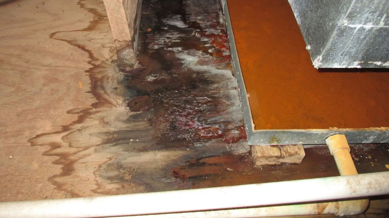 Lifted laminate flooring planks over a water-stained subfloor