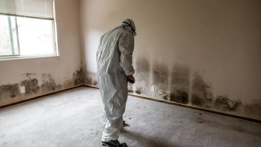 Technician in a protective suit standing in a room with mold on the walls