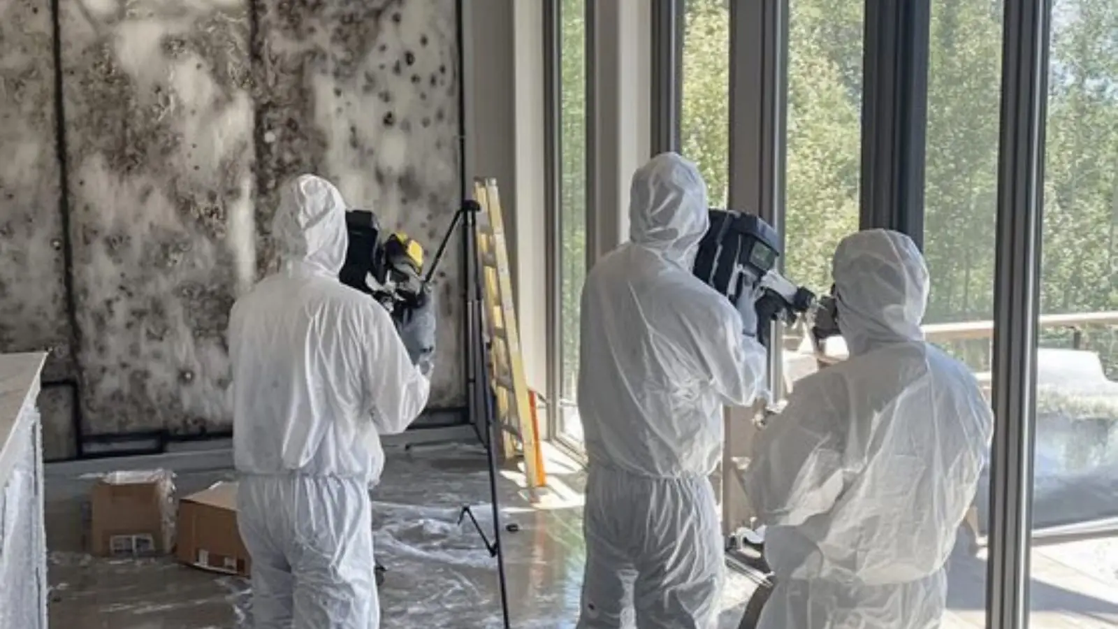 Remediation crew in protective suits working inside a mold-affected room