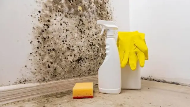 Spray bottles and gloves beside a mold-stained wall corner