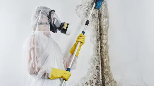 Technician in a respirator and protective suit treating a mold-stained wall