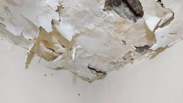 Peeling and sagging water-damaged ceiling