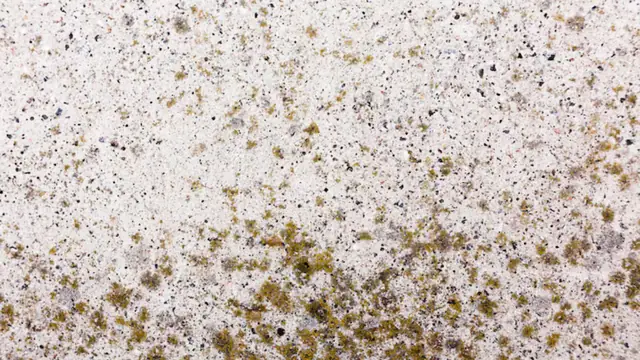 Close-up of mildew speckling on a white surface